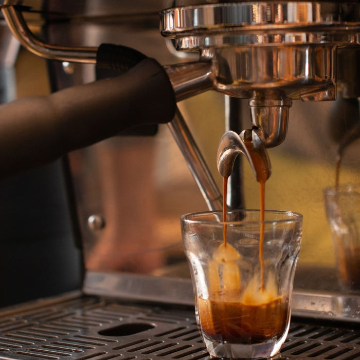 Espresso Education 101: Understanding the Basics